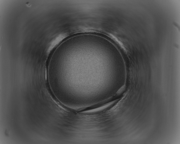 X0000091881269200709191149