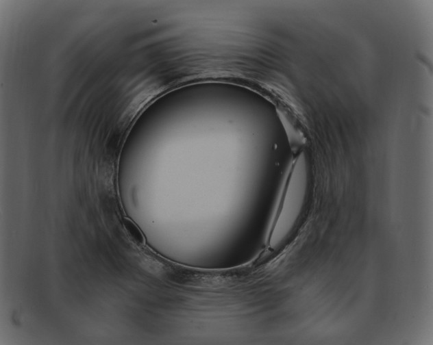 X0000091881273200709191149