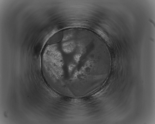 X0000091881275200709191149