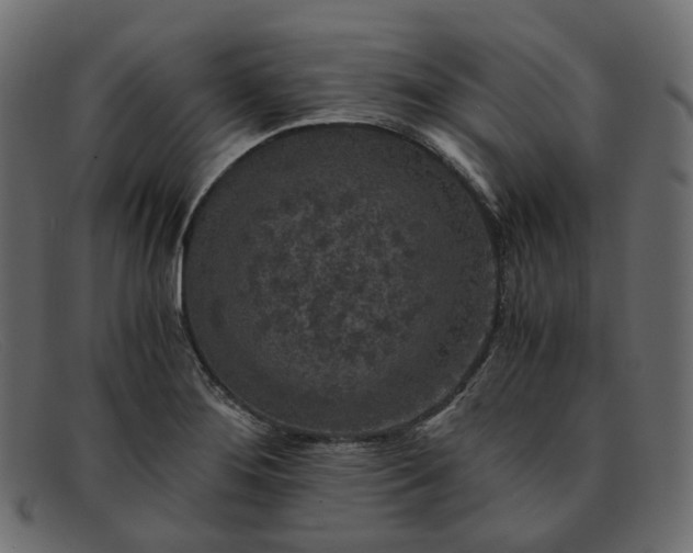 X0000091881276200709191149