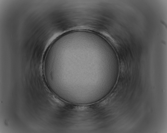 X0000091881278200709191149