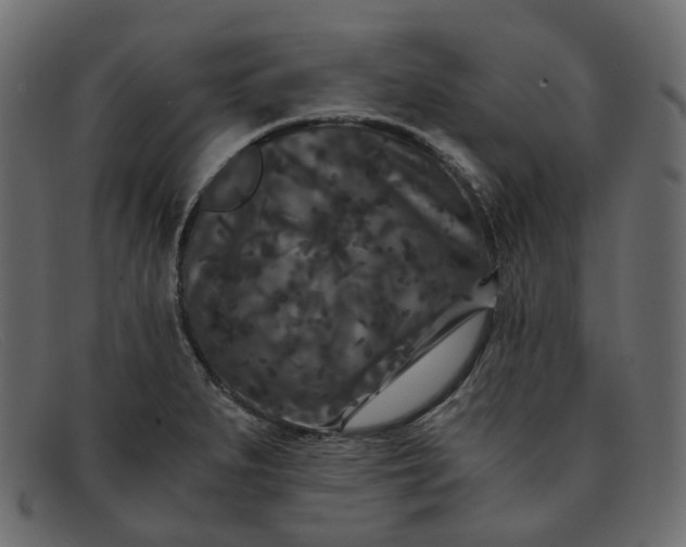 X0000091881279200709191148