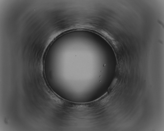 X0000091881280200709191148