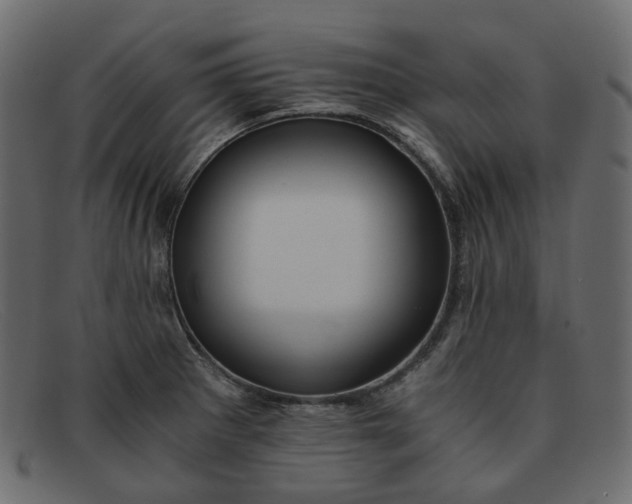 X0000091881281200709191148