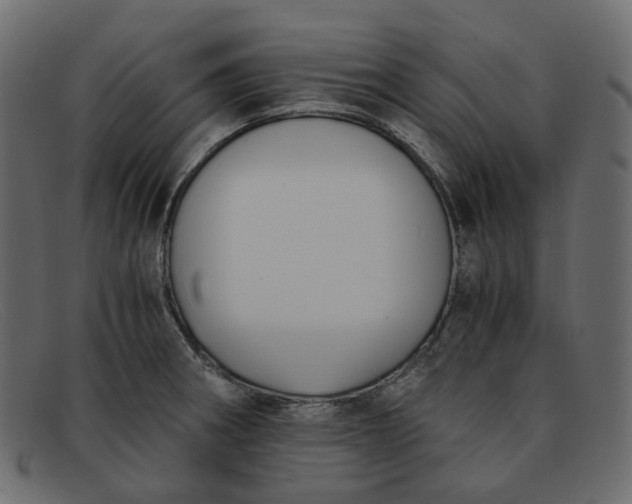 X0000091881282200709191148