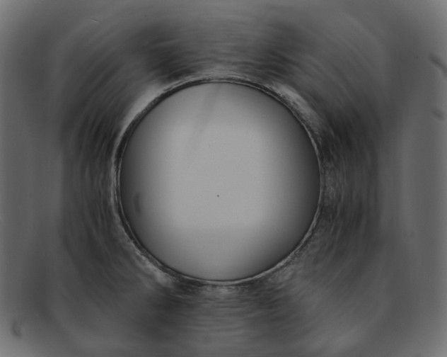 X0000091881286200709191148