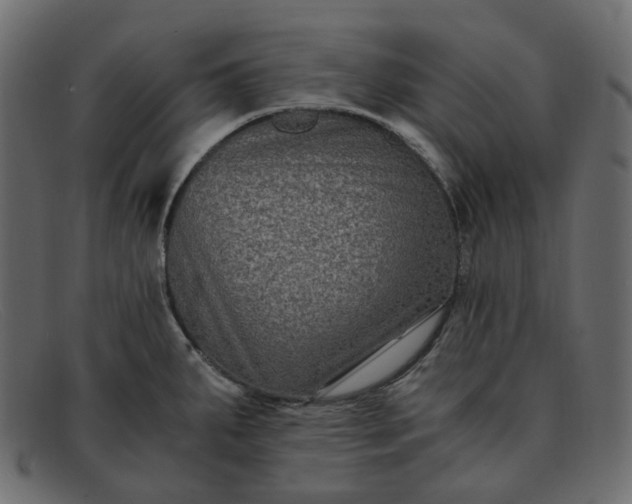 X0000091881287200709191148