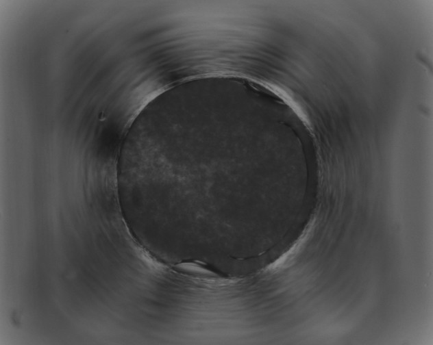 X0000091881289200709191148