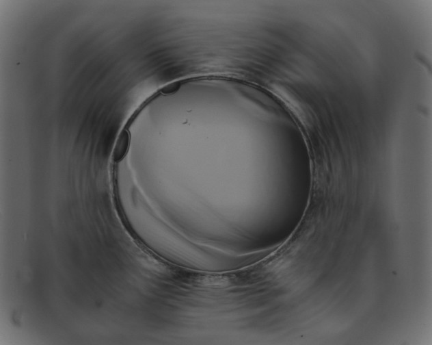 X0000091881291200709191148