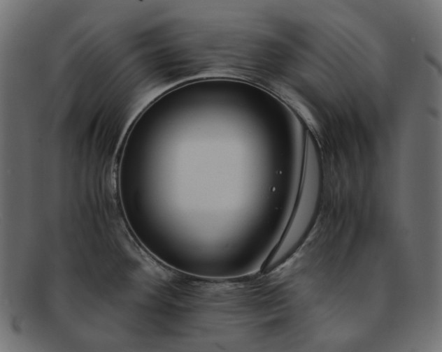 X0000091881292200709191148