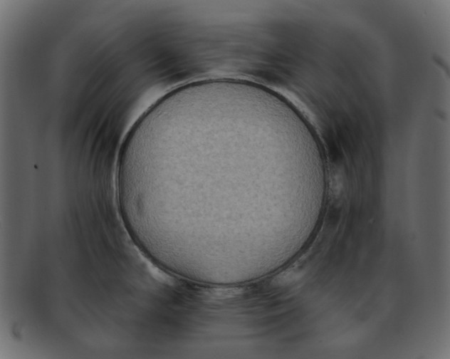 X0000091881294200709191148