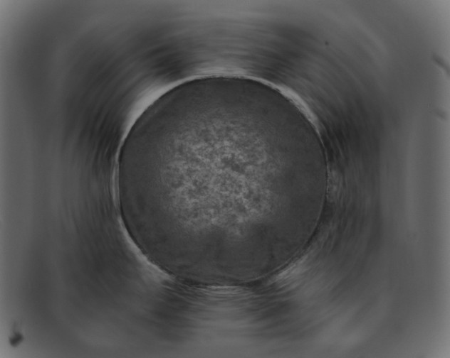 X0000091881295200709191148