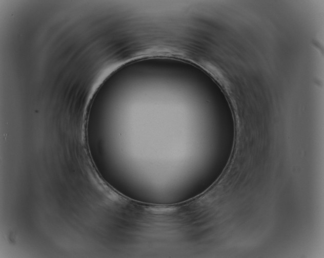 X0000091881296200709191148