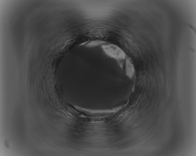 X0000091881297200709191148