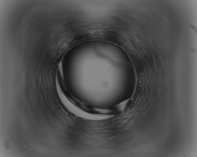 X0000091881298200709191148