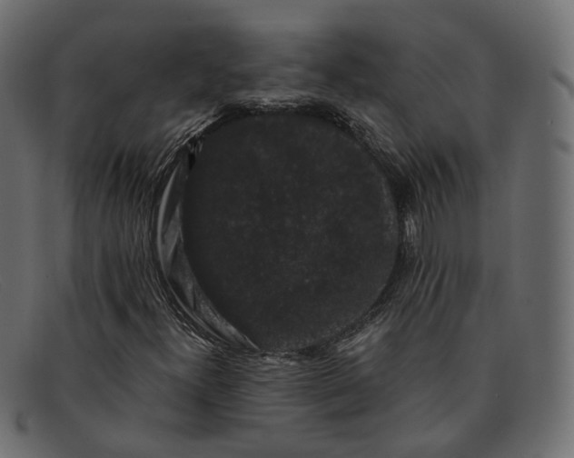 X0000091881300200709191148