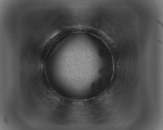 X0000091881302200709191148