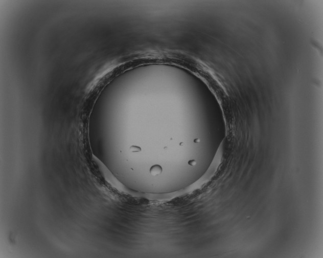 X0000091881304200709191148