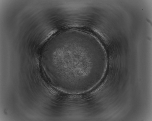 X0000091881305200709191148