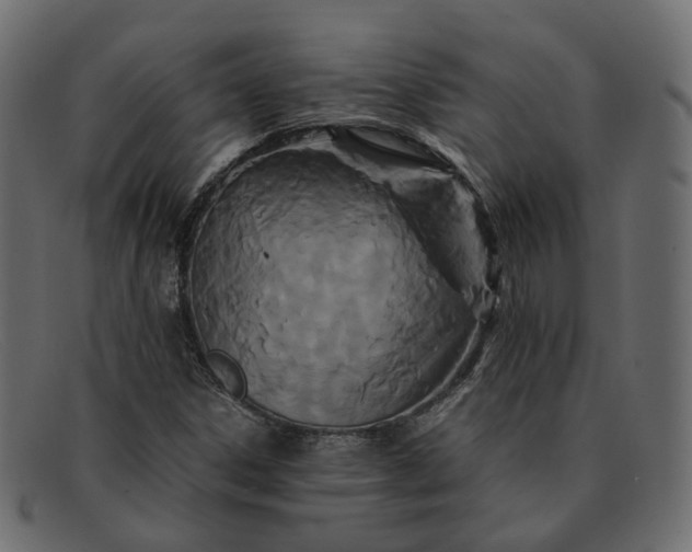 X0000091881306200709191148