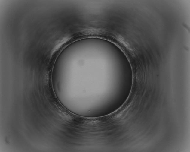 X0000091881309200709191148