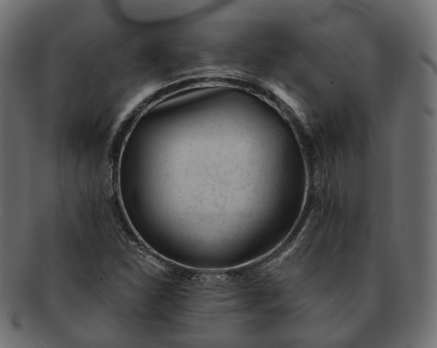 X0000091881310200709191148