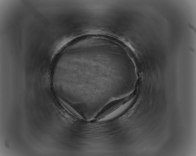 X0000091881311200709191148