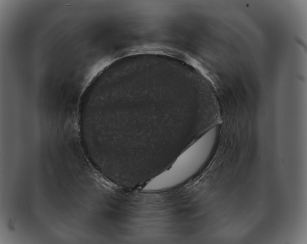 X0000091881312200709191148