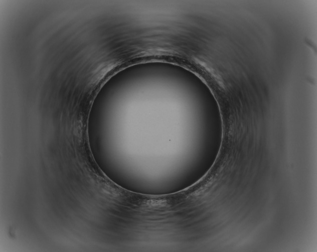 X0000091881313200709191148