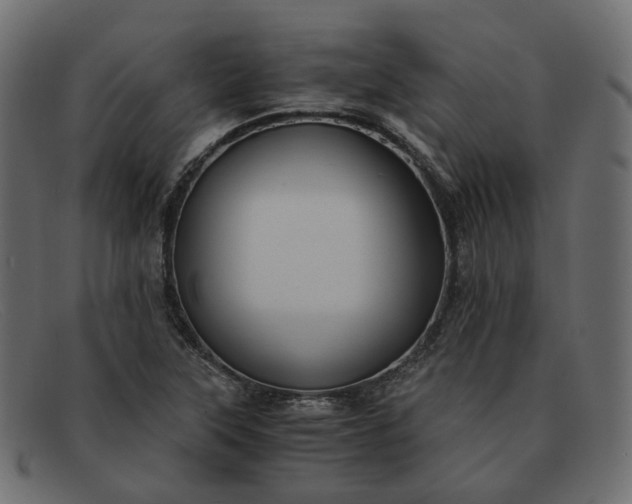 X0000091881315200709191148