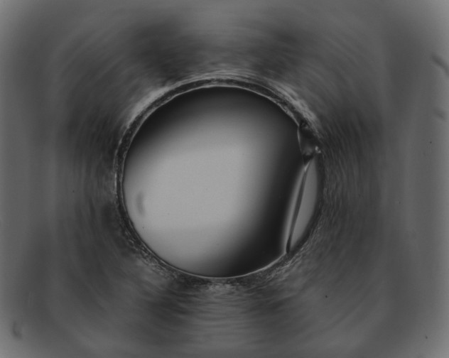 X0000091881316200709191148