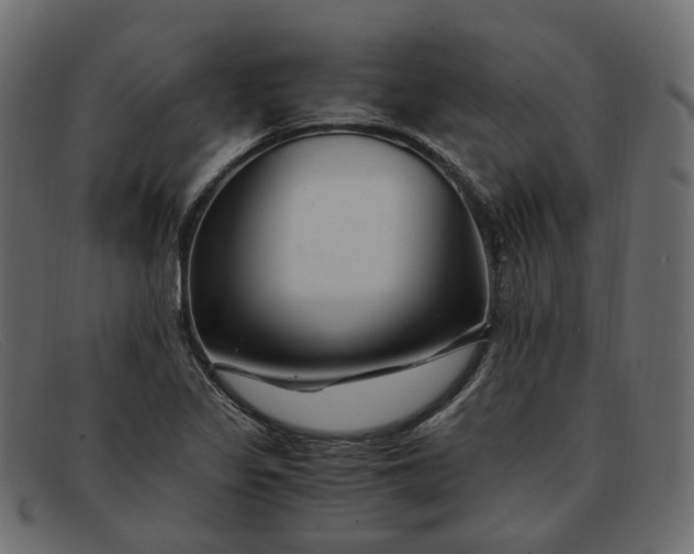 X0000091881317200709191148