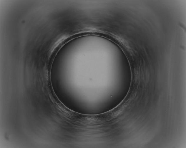 X0000091881318200709191148