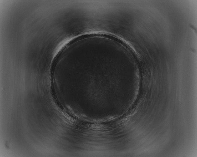 X0000091881319200709191148