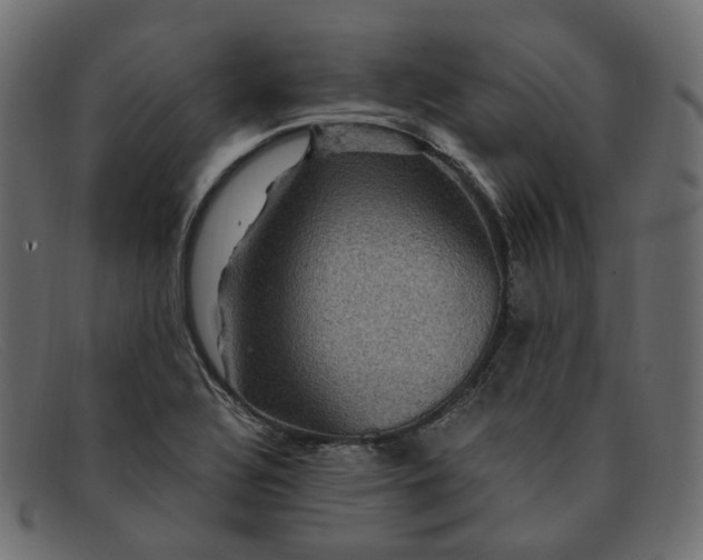 X0000091881320200709191148