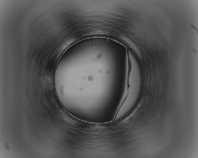 X0000091881321200709191148