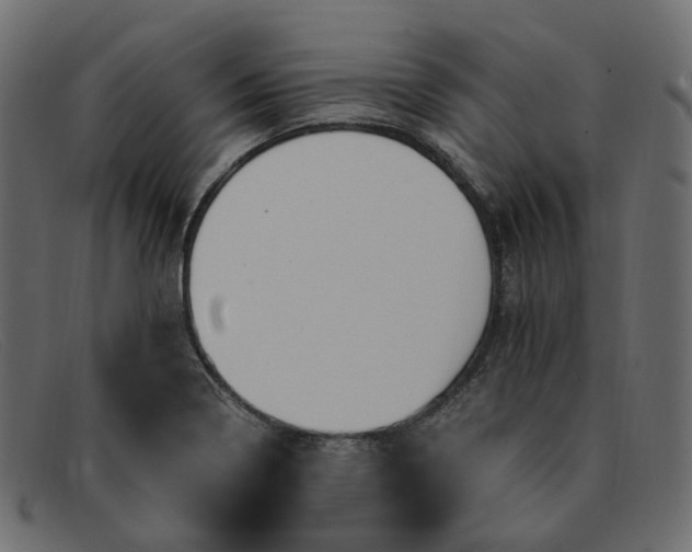 X0000091881322200709191148