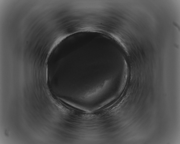 X0000091881323200709191148