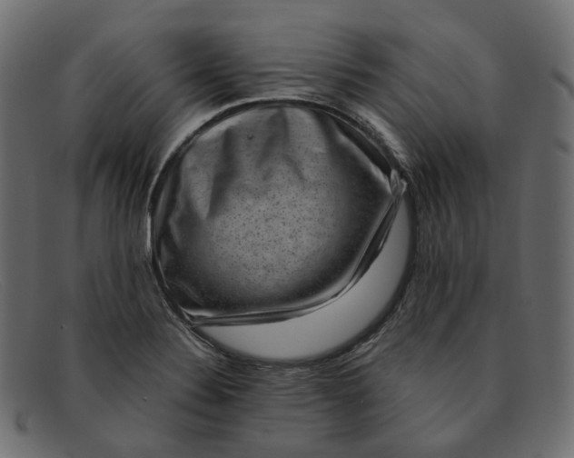 X0000091881324200709191148