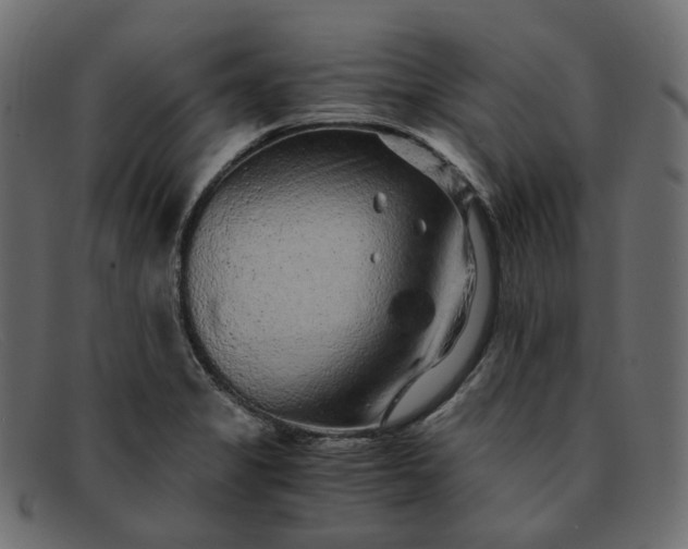 X0000091881325200709191148