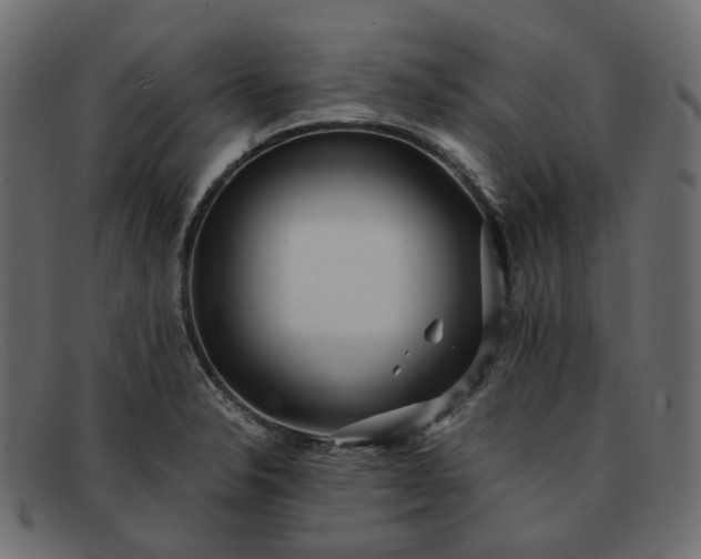 X0000091881326200709191148