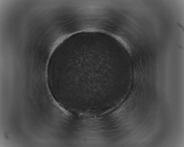 X0000091881327200709191148