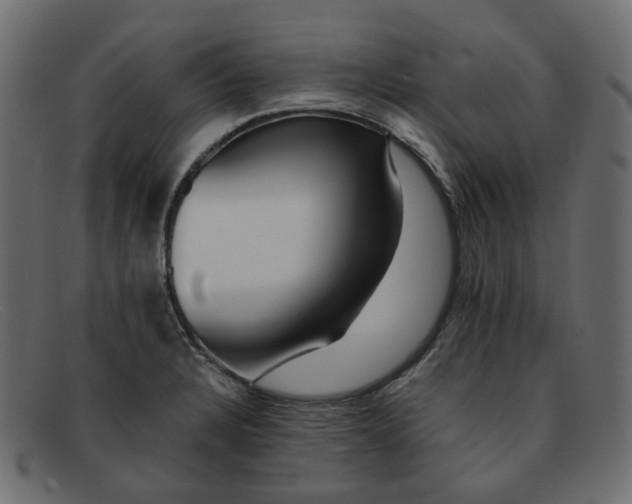 X0000091881328200709191148