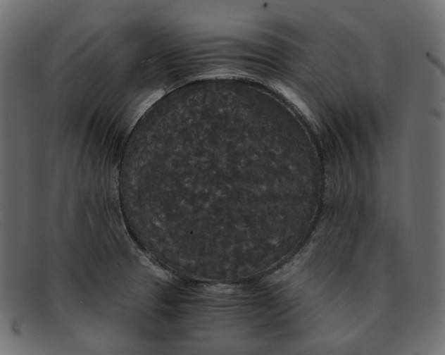 X0000091881329200709191148