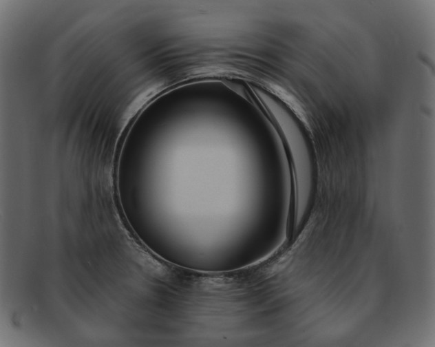 X0000091881330200709191148