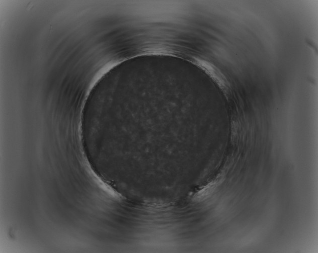 X0000091881331200709191148