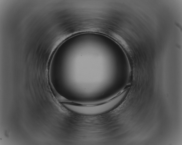 X0000091881332200709191148