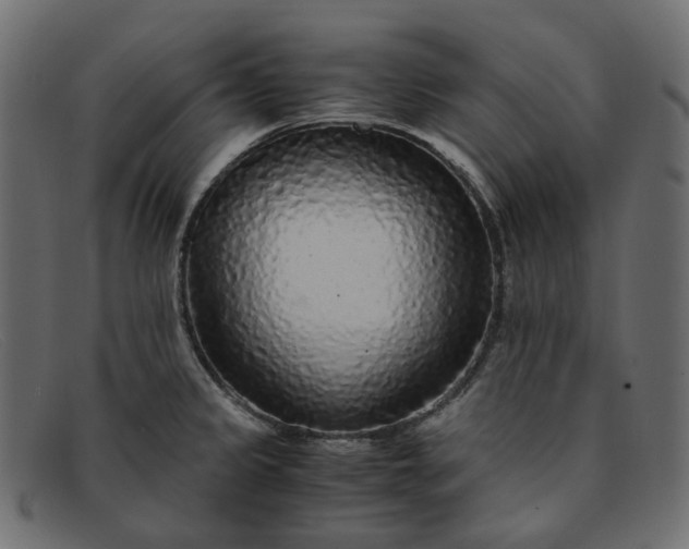 X0000091881333200709191148