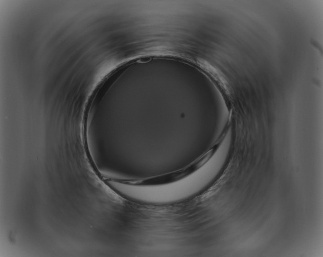 X0000091881334200709191148