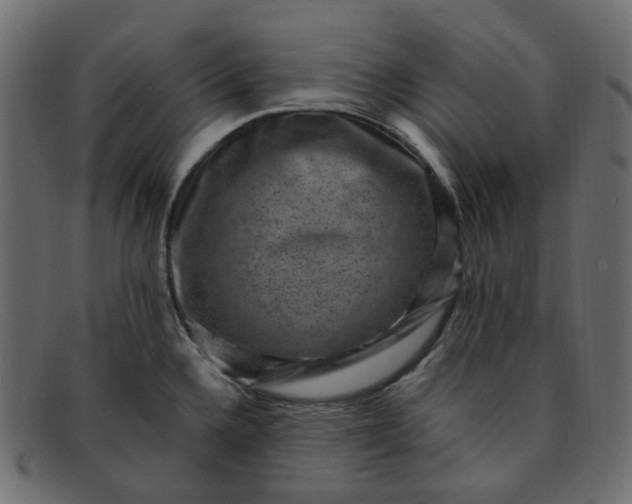 X0000091881336200709191148